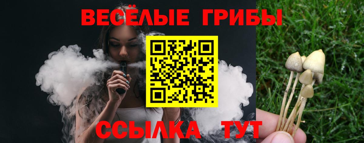 купить наркоту  Псилоцибиновые грибы мицелий  Вход с VPN  Вятские Поляны  Галлюциногенные грибы Magic Shrooms 